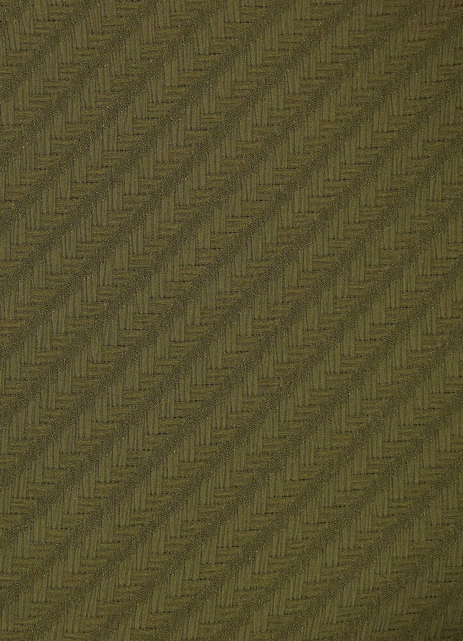 Willow High Waisted Pant - Avocado 8 Willow High Waisted Pant - Avocado - Image 6